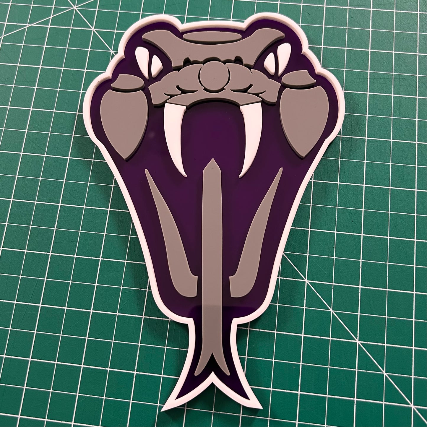Custom 3D San Marcos Rattlers